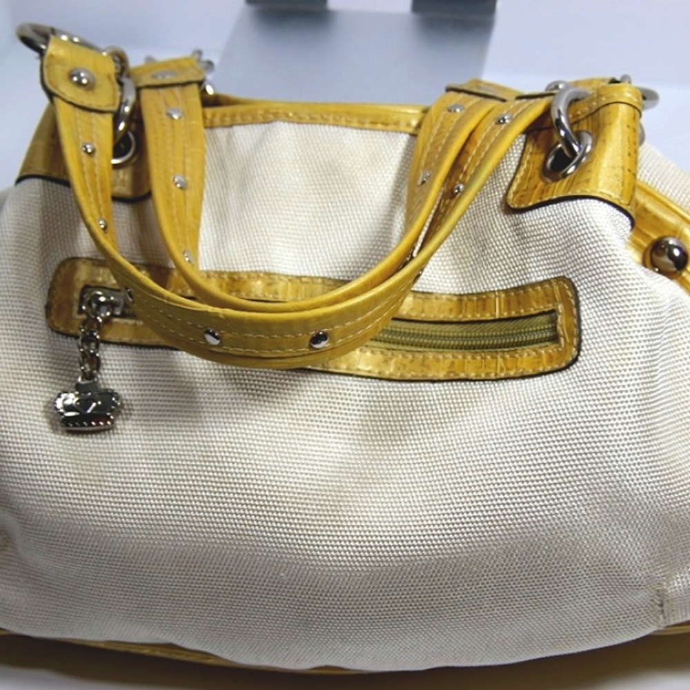Kathy van Zeeland gold and cream bag